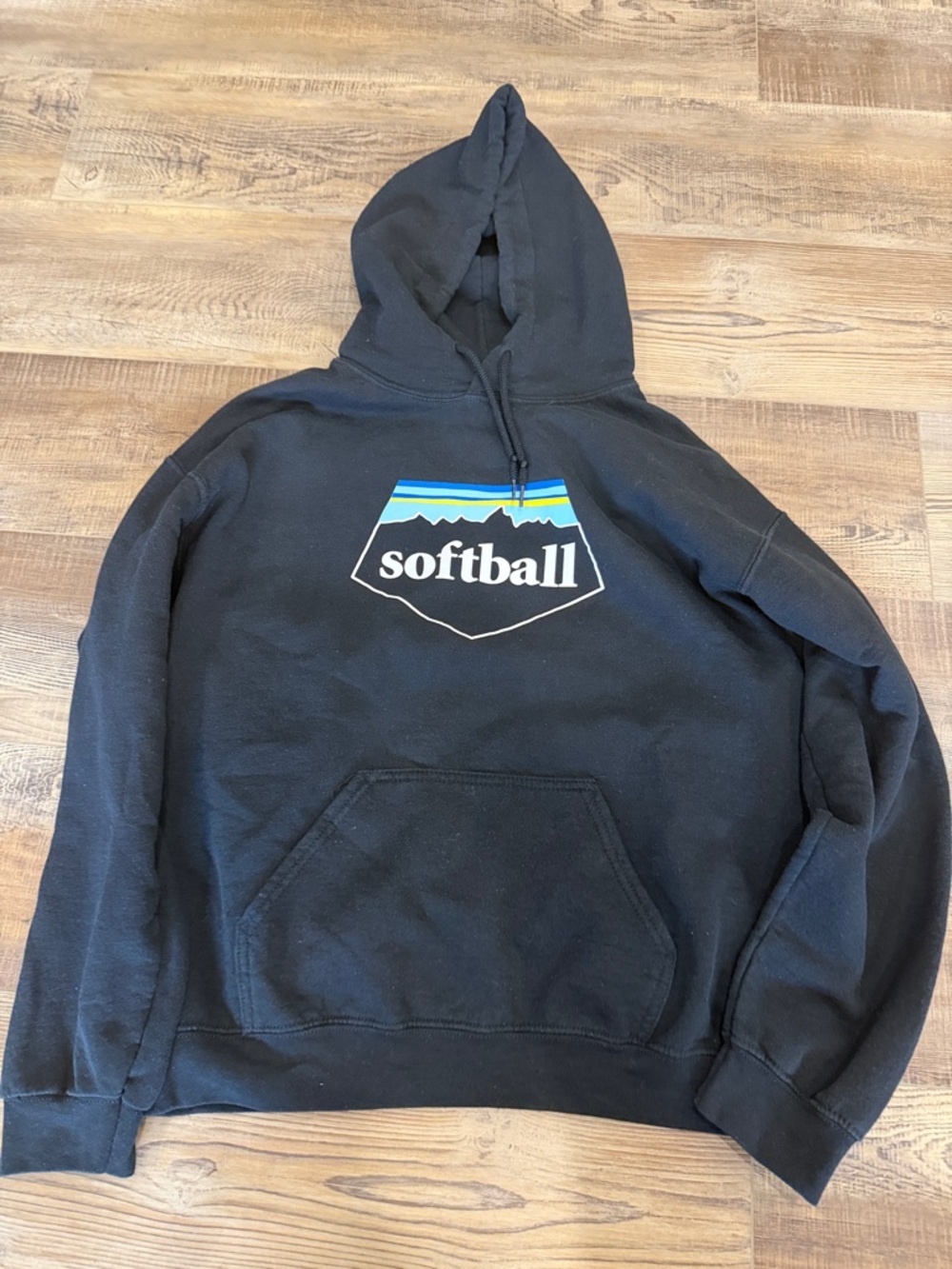 Gildan Black Pullover Hoodie with Drawstring.  Softball size med